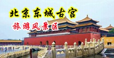日韩美女毛片操你的骚逼中国北京-东城古宫旅游风景区